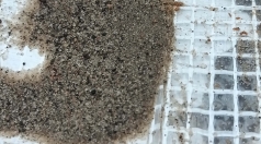 Spices ierīkošana privātmājā